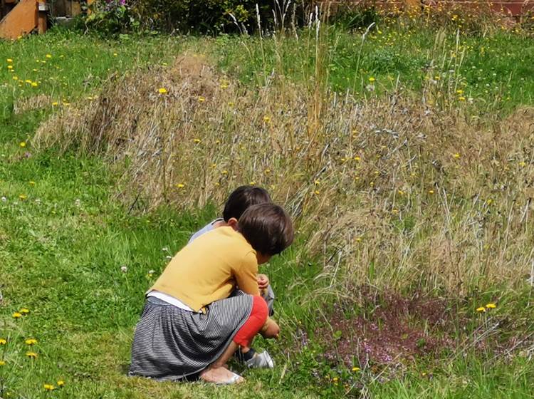 Le jardin-forêt un paradis pour les enfants