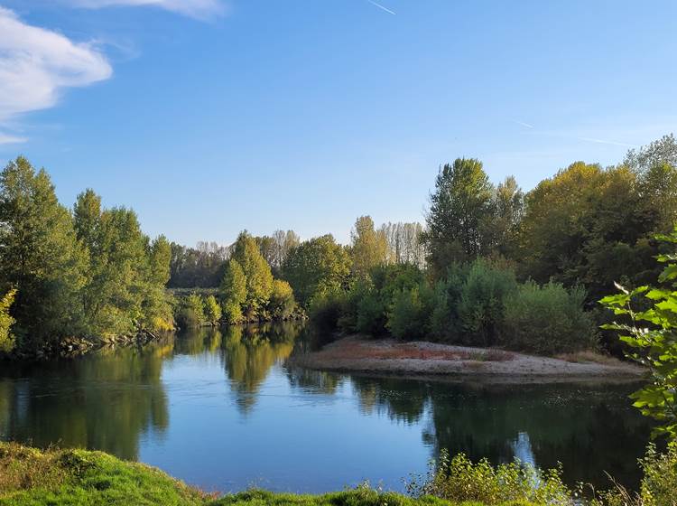 vue rivière
