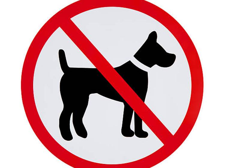 Château interdit aux chiens