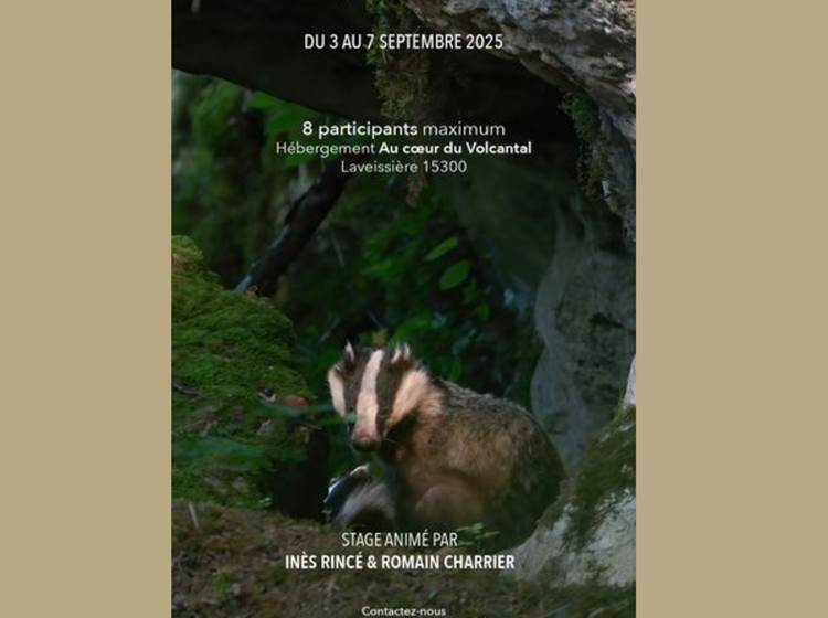Sans titre