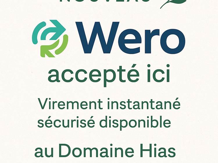 Nouveau : Paiement Wero désormais accepté !