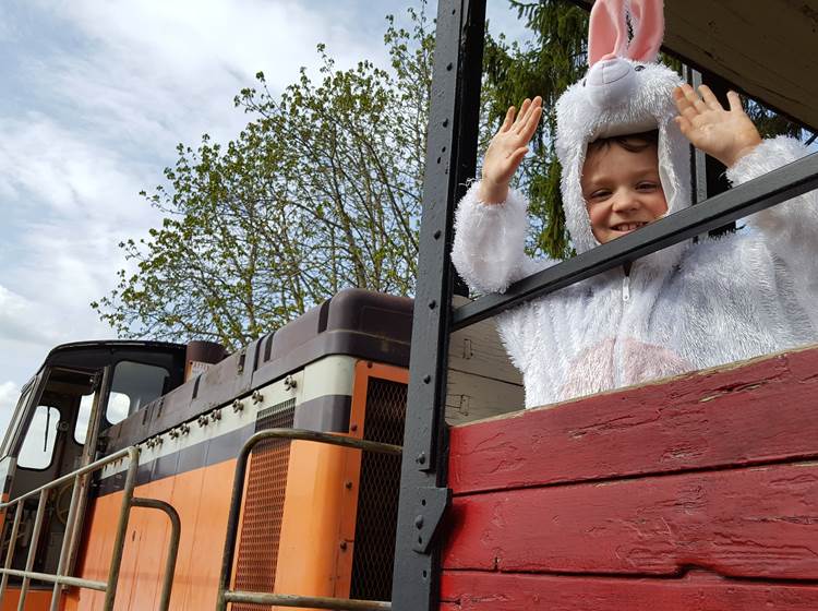 lapin du train des œufs