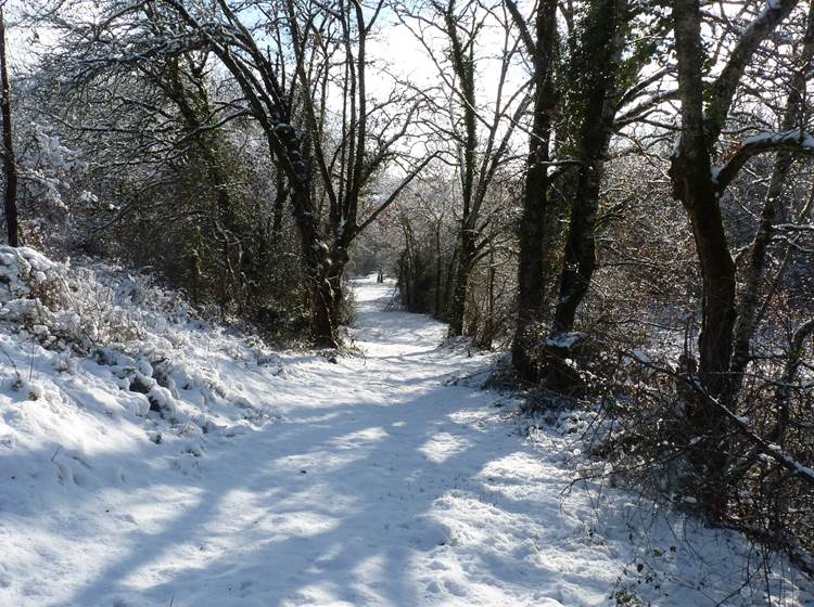 Descente dans le vallon du Pech Chantant.-news