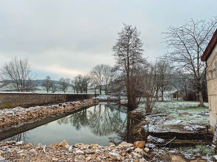 L'étang de notre maison d'hôtes