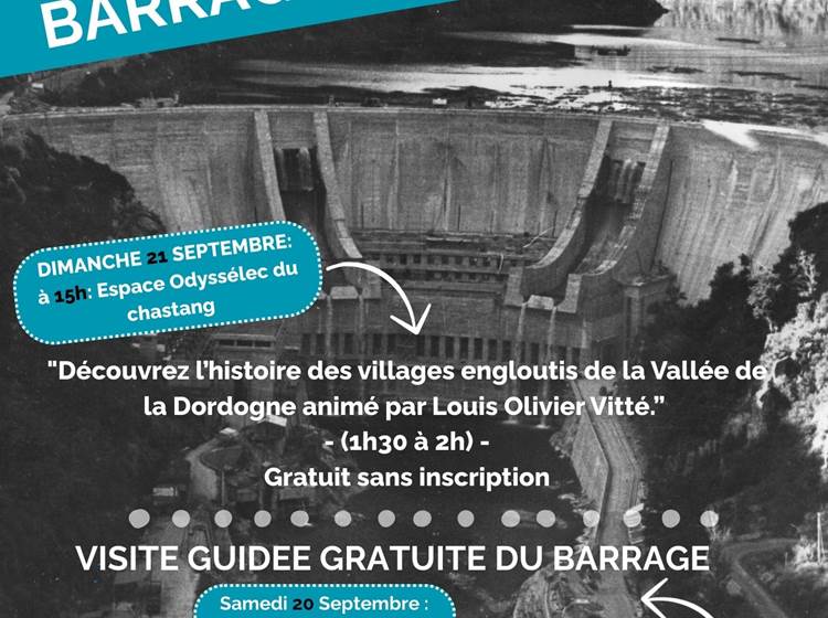 Monédière copyright