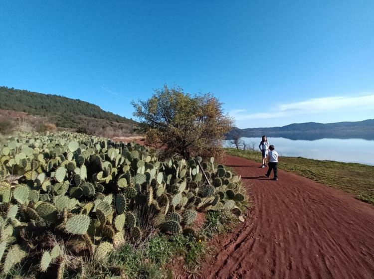Lac du Salagou