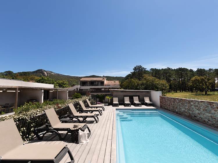 Piscine avec transast et parasols