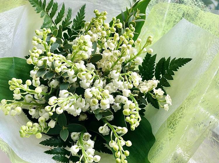 muguet