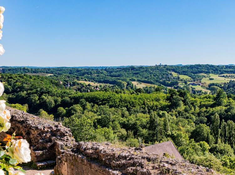 Vue du jardin sur la belle campagne de la Dordogne