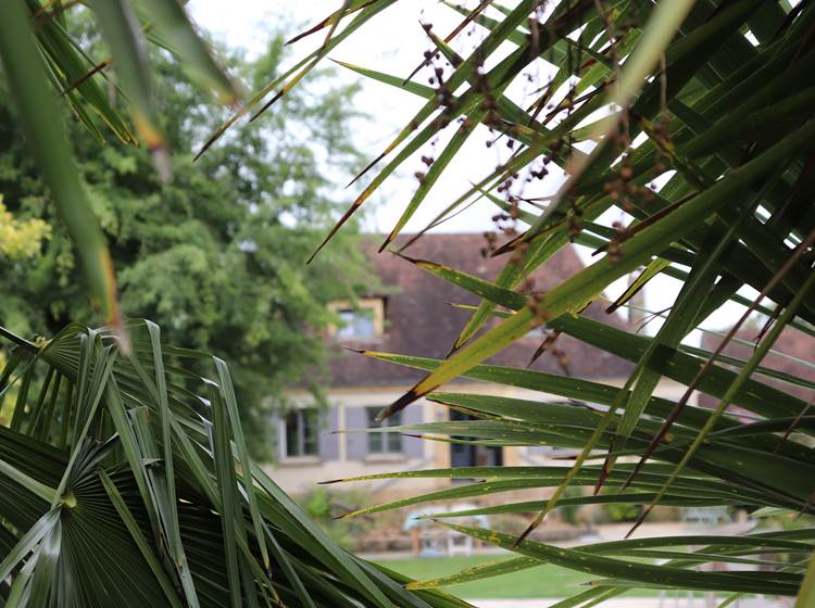 Les Charmes de Sarlat - Jardin vue maison