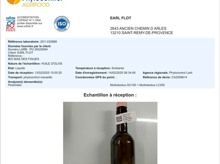 Sans titre