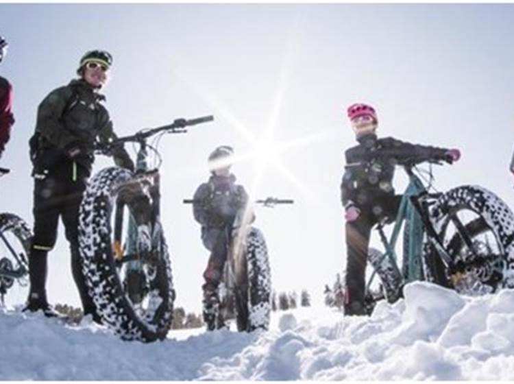 Fatbike