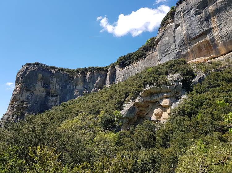 Falaise d'escalade de Buoux en Provence - plateau des Claparèdes Luberon