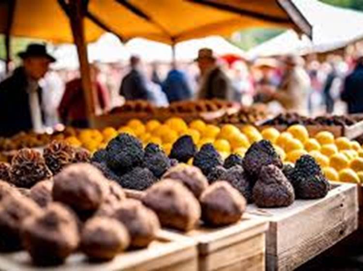 Marché aux truffes