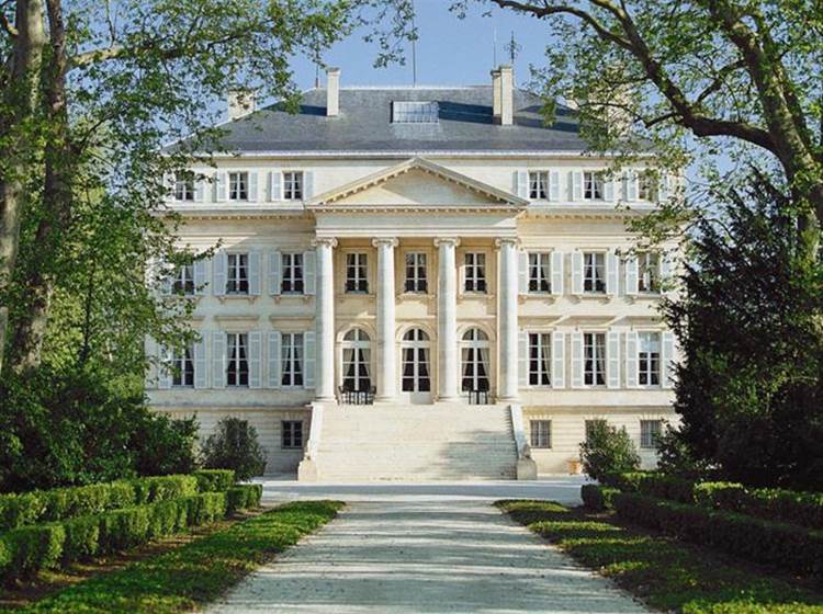 Le vignoble le plus célèbre au monde : Chateau Margaux