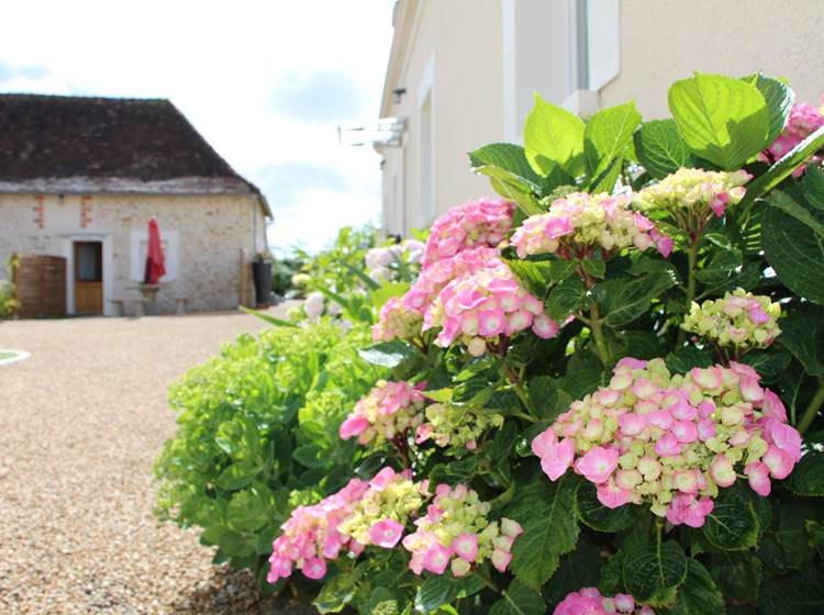 gîte de groupe Sarthe proche zoo de la flèche