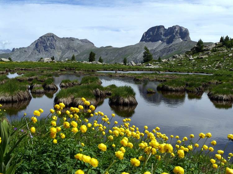Les eaux tortes