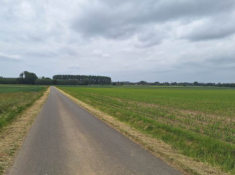 Au fil de la promenade