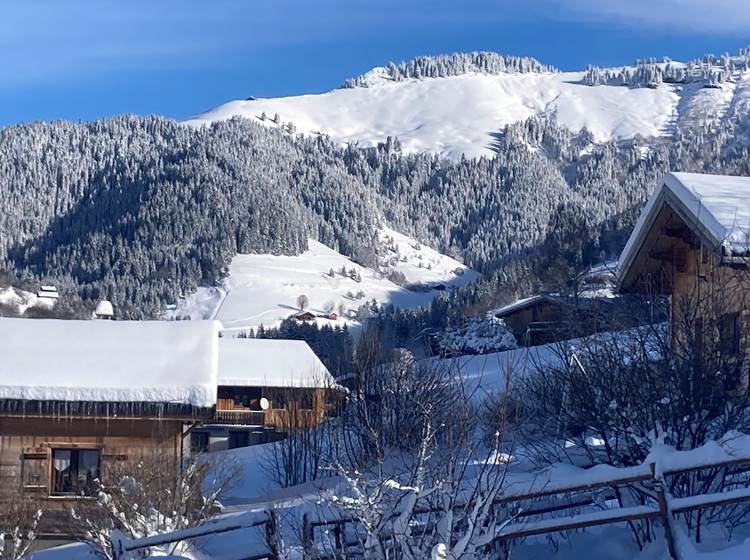 Les chalets d'Heidi