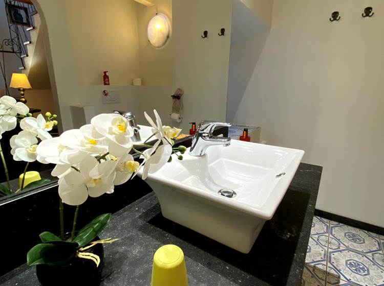 salle de bain chambre Sirius