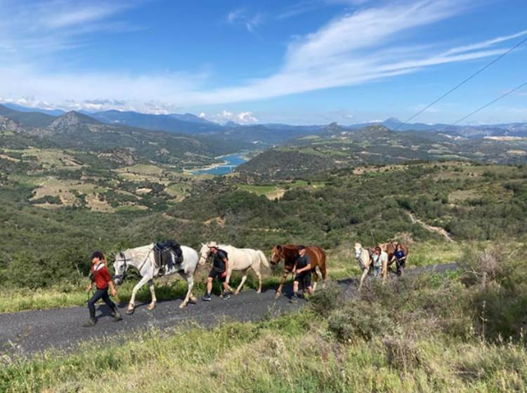 cavaliers à Caramany