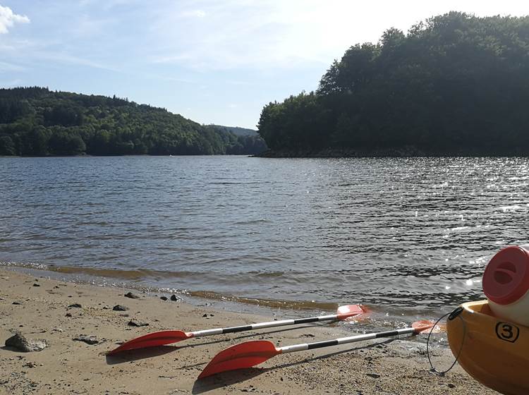 Lac de La Salvetat et son eau cristalline