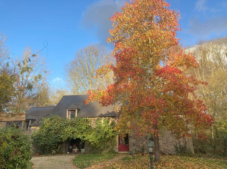 belles couleurs d'automne ...