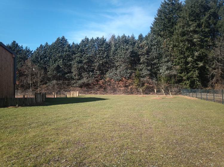 Jardin à l'arrière de la propriété de 2000 m2