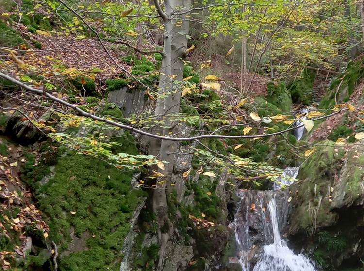 La cascade de Haldeboeuf