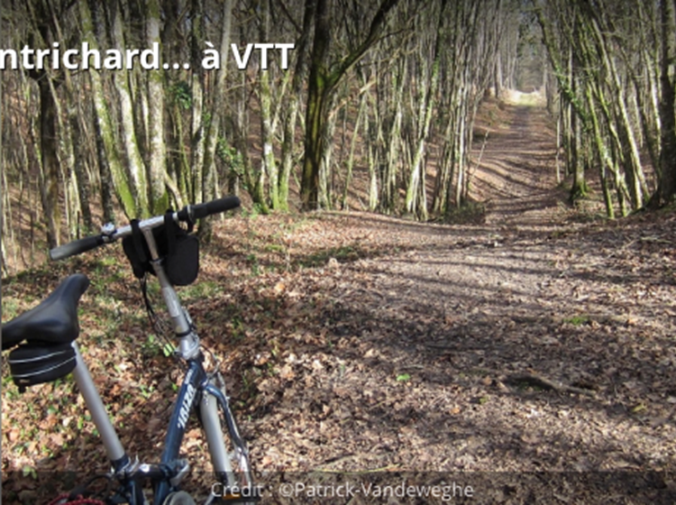 Forêt de Montrichard en vélo