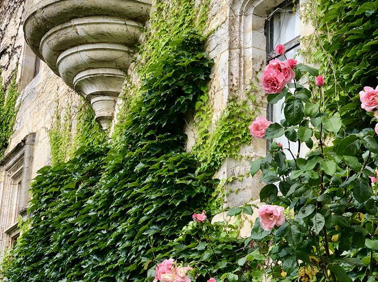 Chateau de Saint Chamarand - Exterieur, terasse et jardin