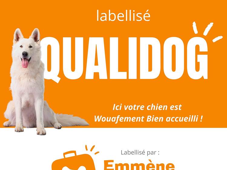 Label Qualidog pour un accueil dogfriendly