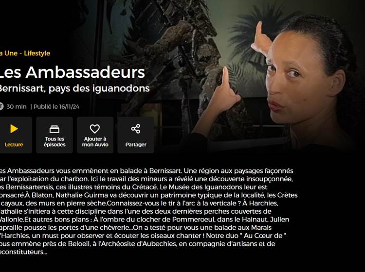 Les Ambassadeurs (RTBF)