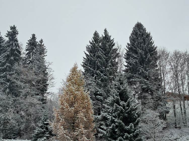 Quand l'hiver se mélange à l'automne