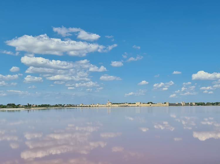 L'étang rose de la Ville