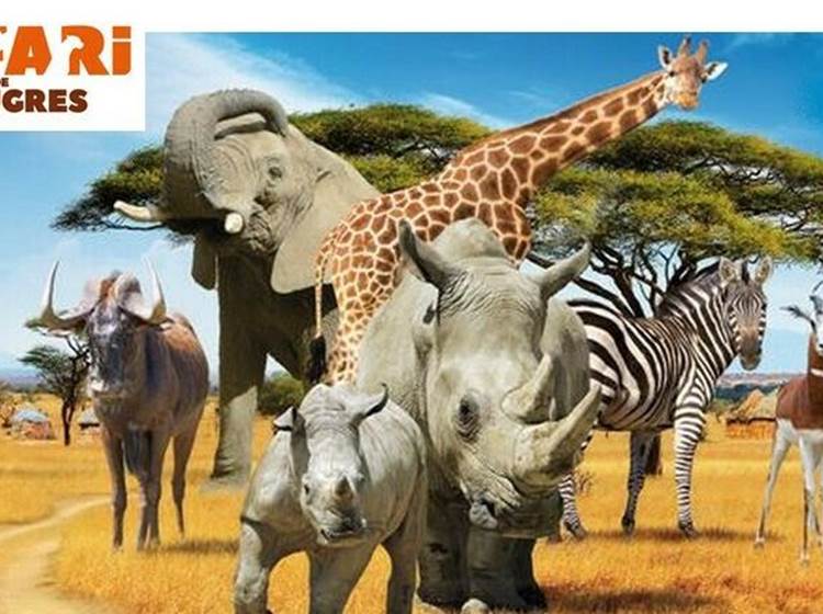 Safari de Peaugres