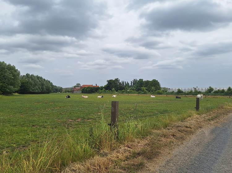 Au fil de la promenade