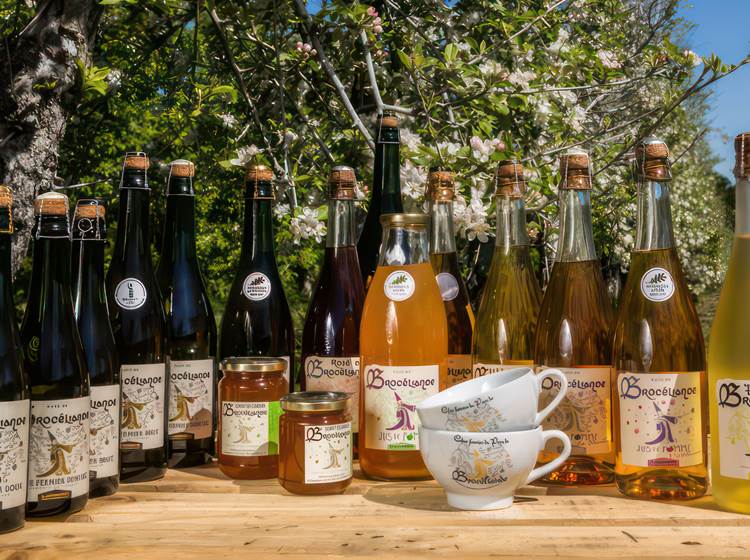 Le Cidre fermier du Pays de Brocéliande