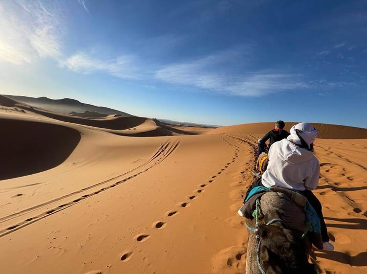 Camel riding to the camp