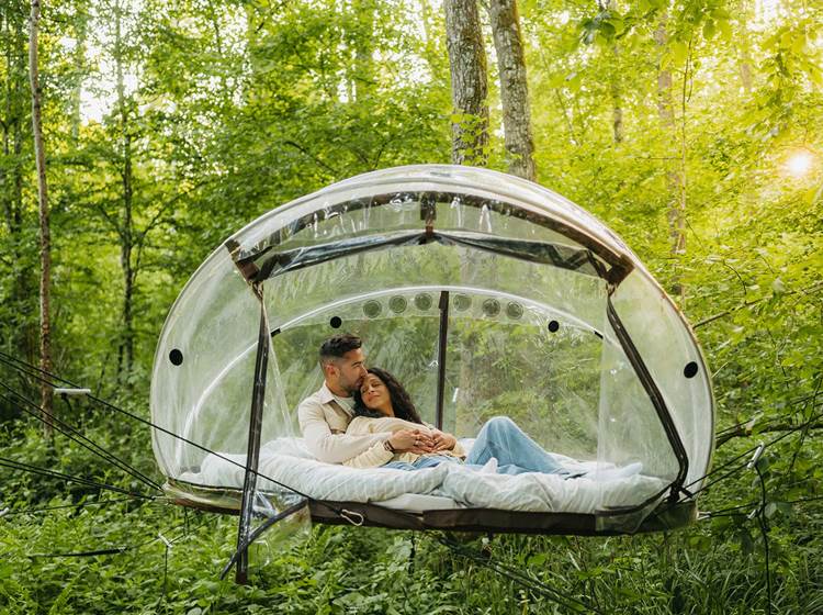 La bulle suspendue des Cinq Mésanges