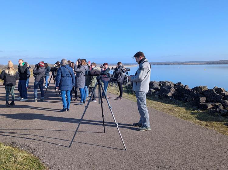 observation-ornithologique