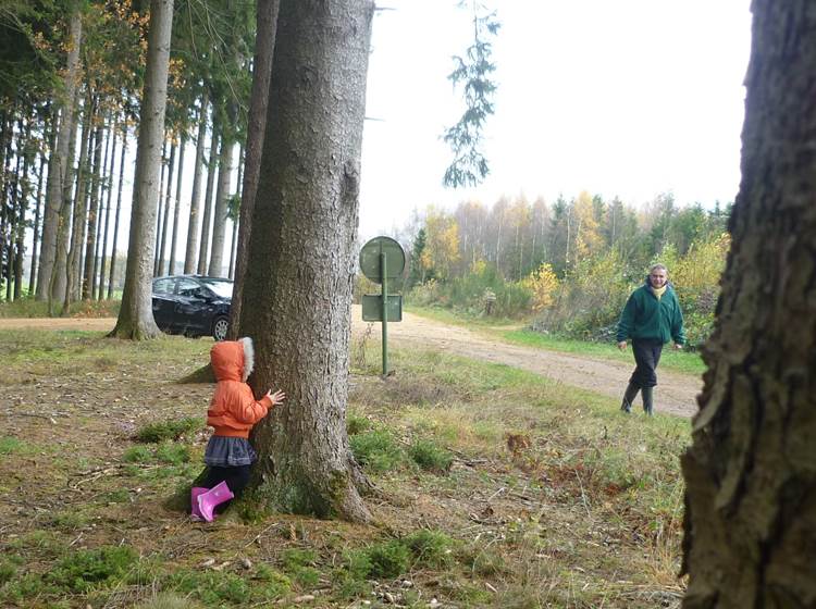 Les découvertes en forêt et ses parties de cache cache