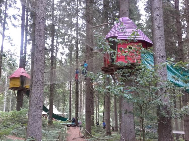 Prendre de la hauteur à Elfy Parc, pour le plus grand plaisir de toute la famille