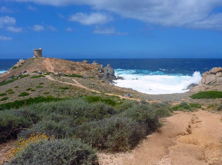 La tour d'Umigna dans tous ses états