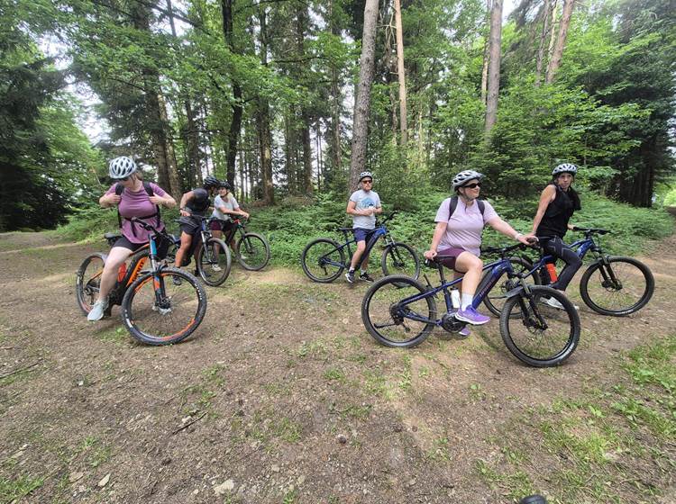 dans les bois de Bournazel