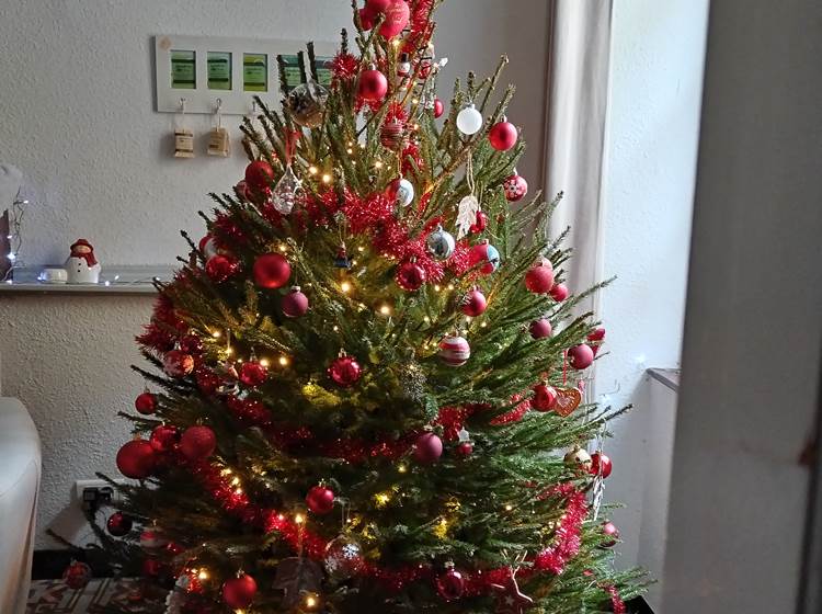 Mon beau sapin....