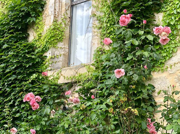Chateau de Saint Chamarand - Exterieur, terasse et jardin
