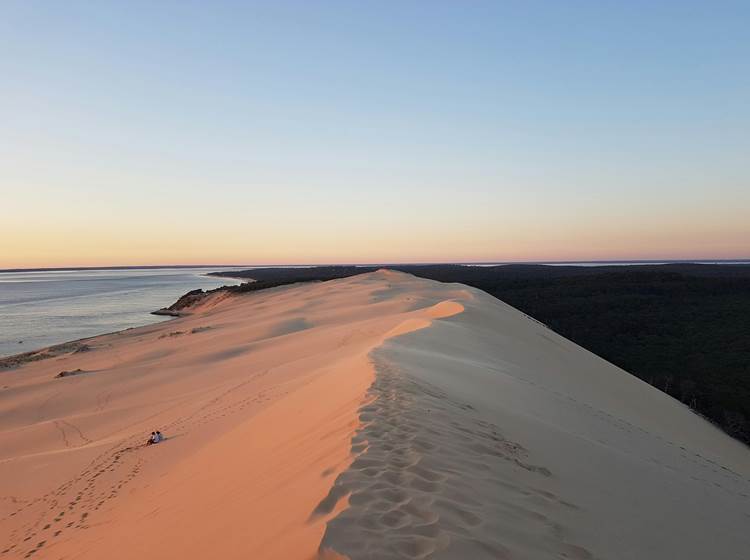 Nid Cosy Bordeaux - Dune du Pilat