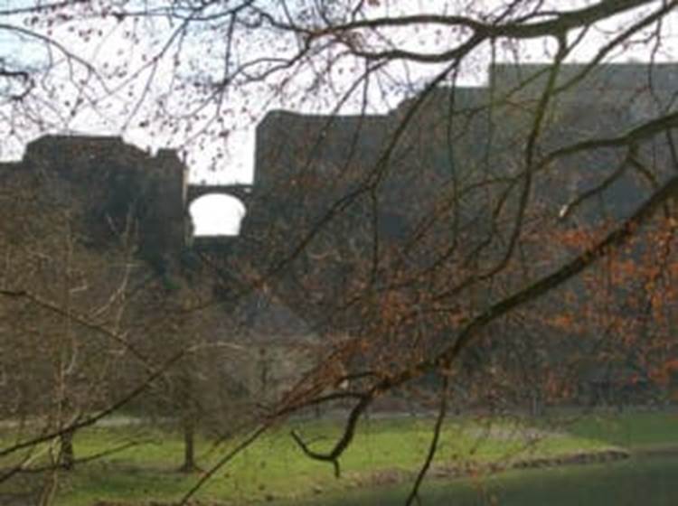Bouillon-Le château-fort, de profil
