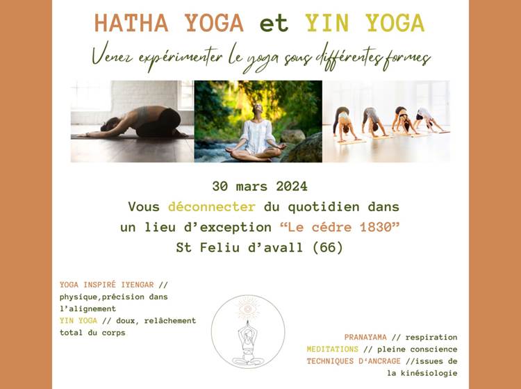 Hatha yoga & Yin Yoga au Cèdre